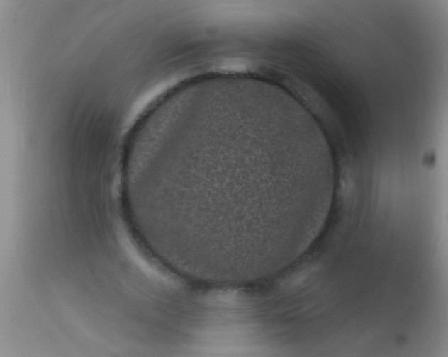 X0000110940728200907022132