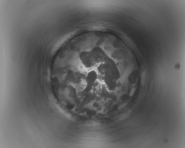 X0000110940729200907022132