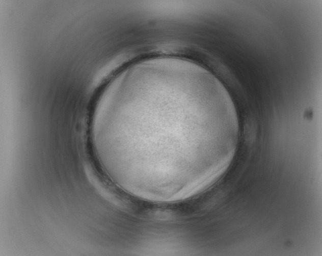 X0000110940730200907022132