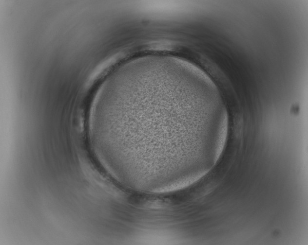 X0000110940731200907022132