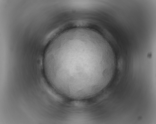 X0000110940733200907022132