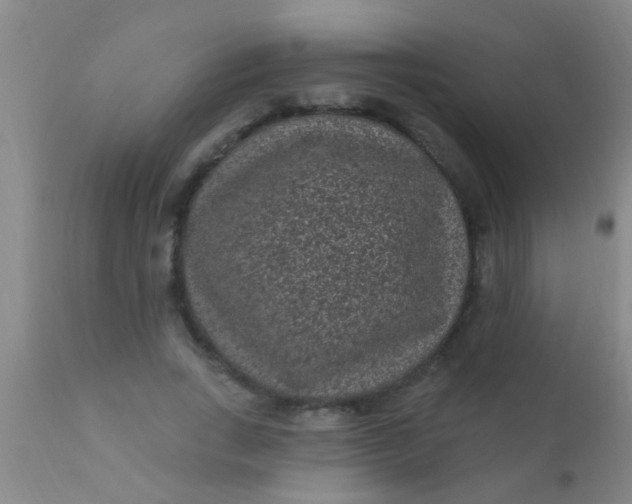 X0000110940735200907022132