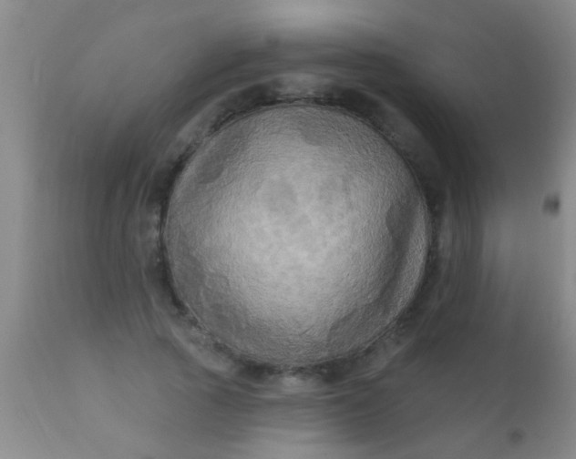 X0000110940737200907022132