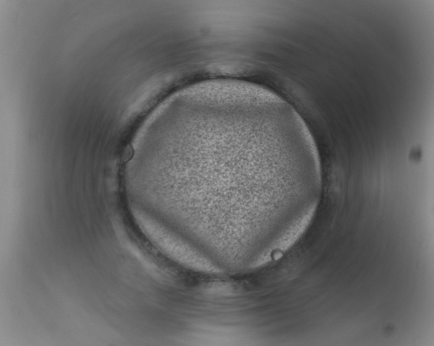 X0000110940738200907022132