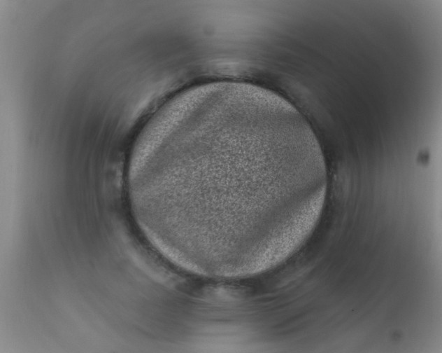 X0000110940739200907022132