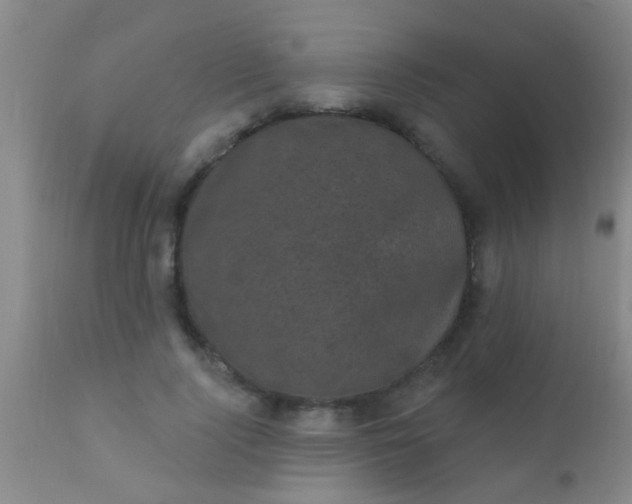 X0000110940740200907022132