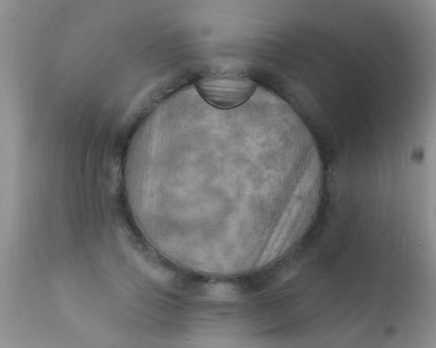 X0000110940741200907022132