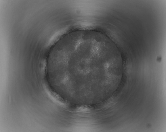 X0000110940742200907022132