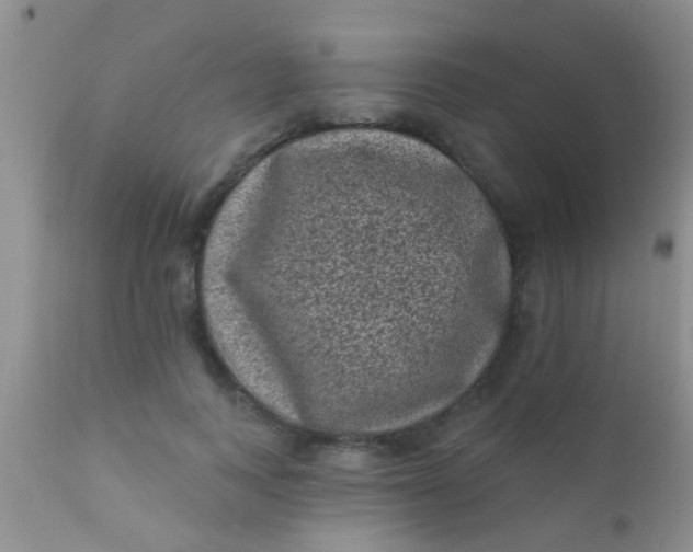 X0000110940743200907022132