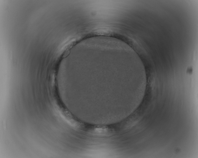 X0000110940744200907022132