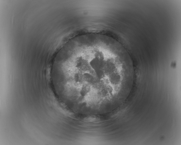 X0000110940745200907022132