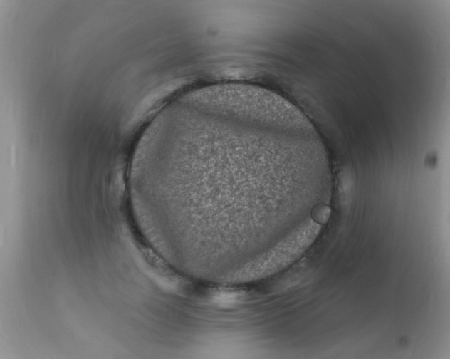 X0000110940746200907022133