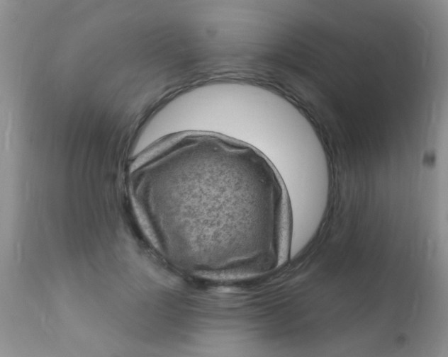 X0000110940748200907022133