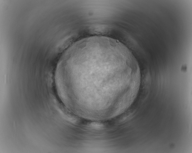 X0000110940749200907022133