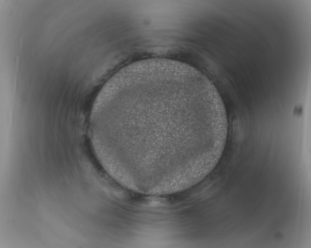 X0000110940750200907022133