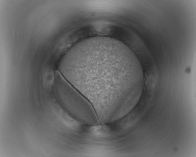 X0000110940752200907022133