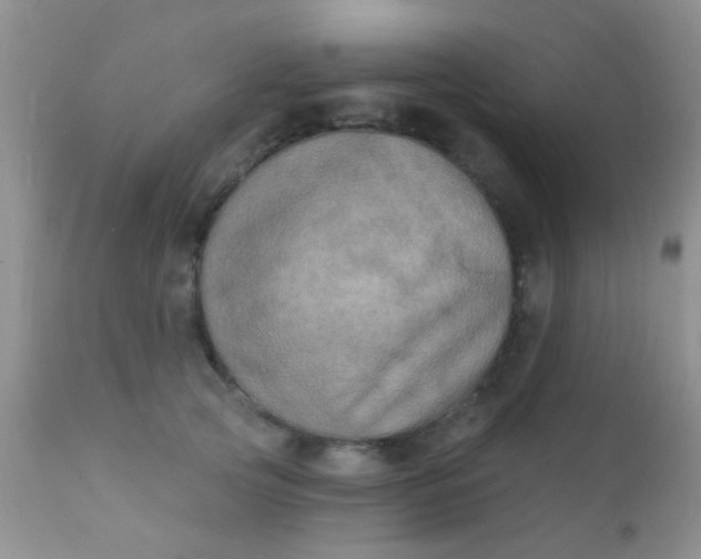 X0000110940753200907022133