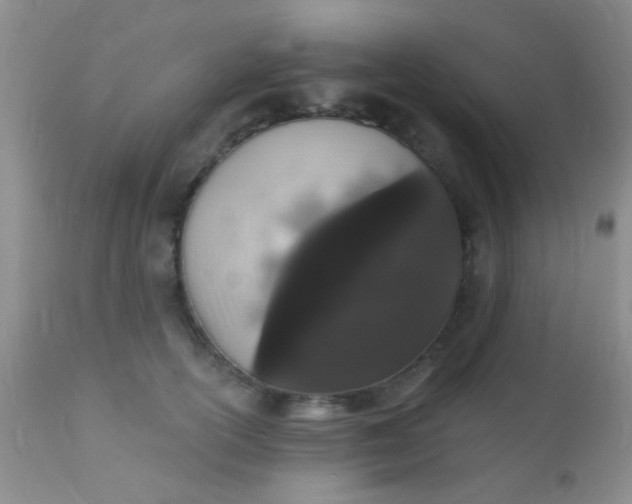 X0000110940754200907022133