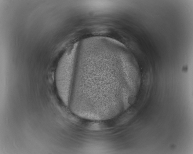 X0000110940755200907022133