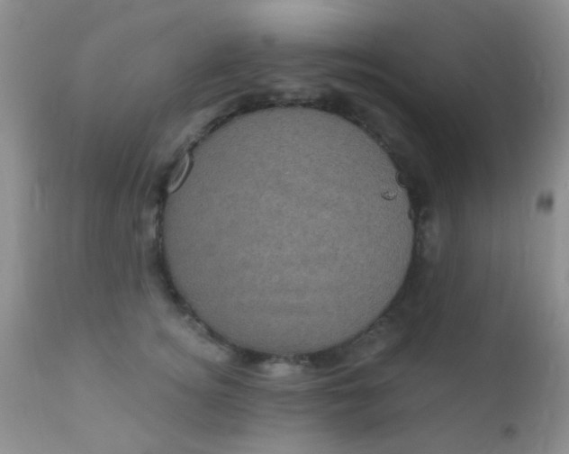 X0000110940756200907022133