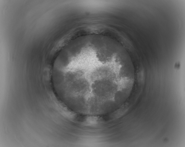 X0000110940757200907022133