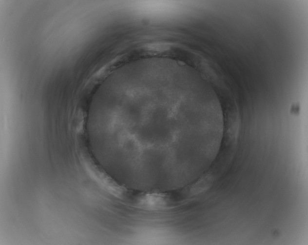 X0000110940758200907022133