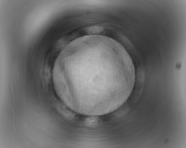 X0000110940761200907022133