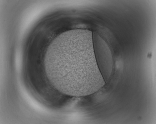 X0000110940764200907022133