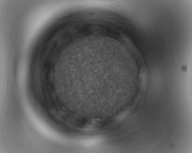 X0000110940765200907022133