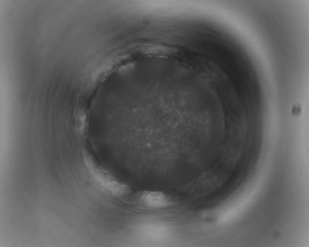 X0000110940767200907022133