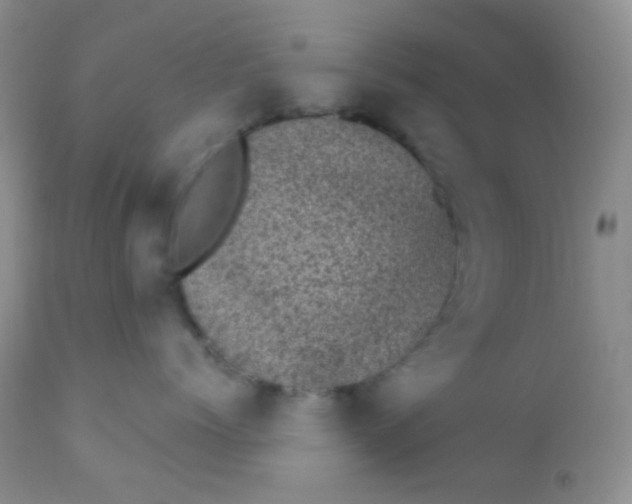 X0000110940768200907022133