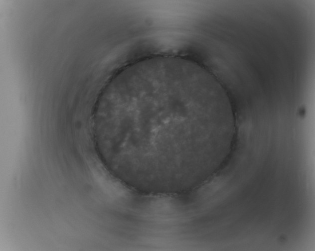 X0000110940769200907022132