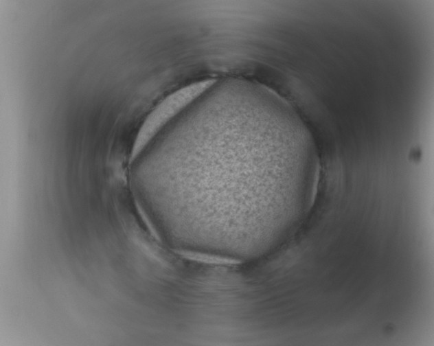 X0000110940770200907022132