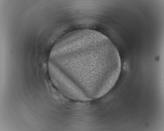 X0000110940771200907022132