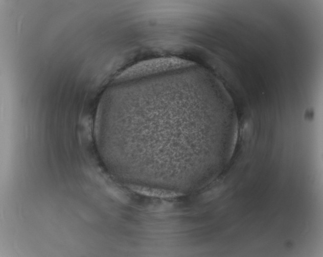 X0000110940772200907022132