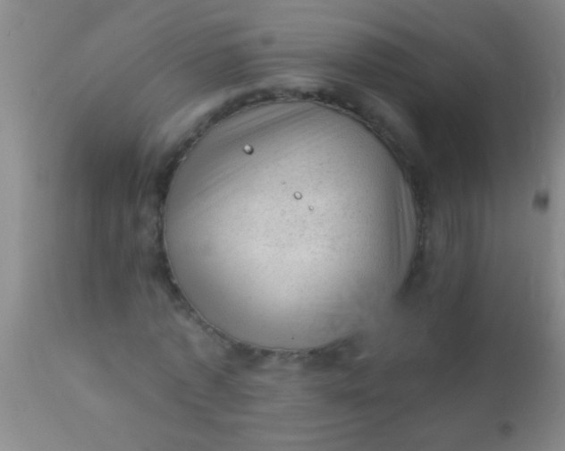 X0000110940773200907022132