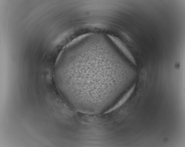 X0000110940774200907022132