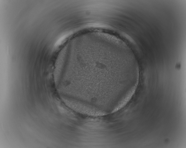 X0000110940775200907022132