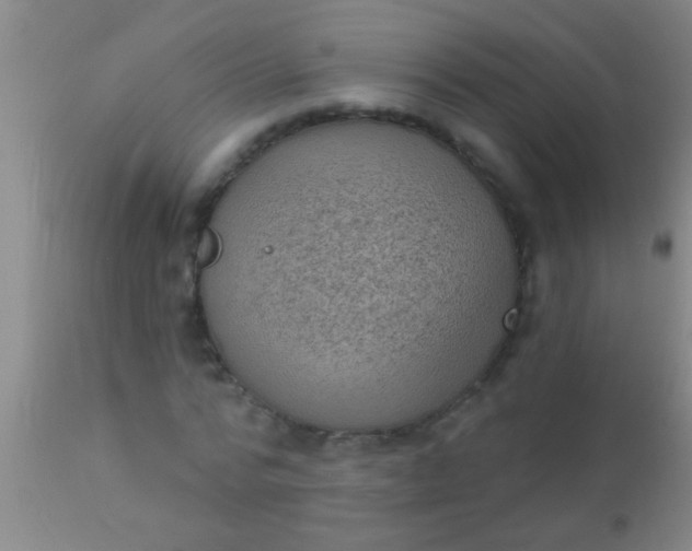 X0000110940776200907022132