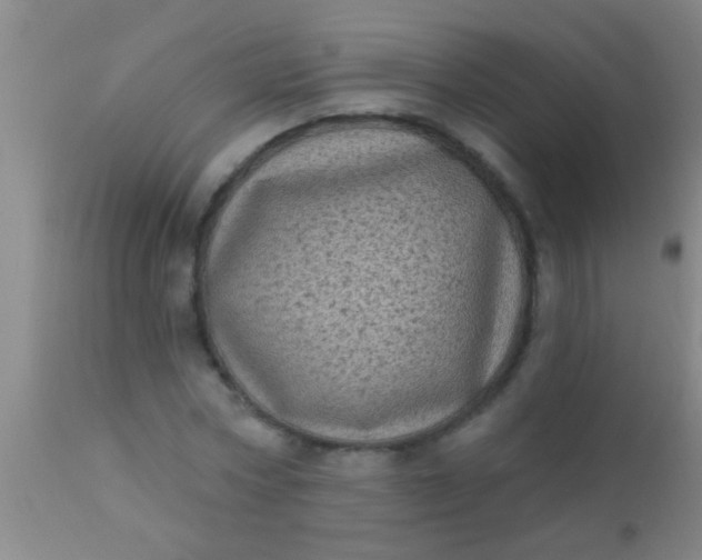 X0000110940778200907022132