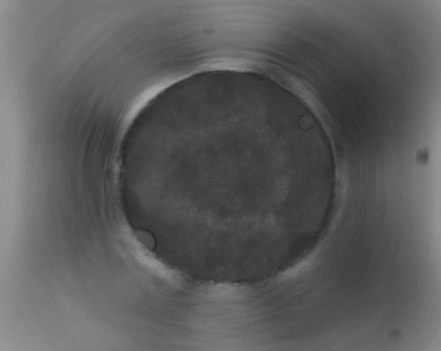 X0000110940779200907022132