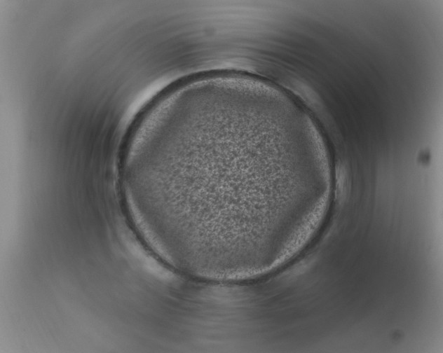 X0000110940780200907022132