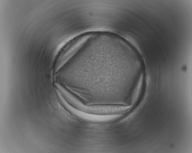 X0000110940781200907022132