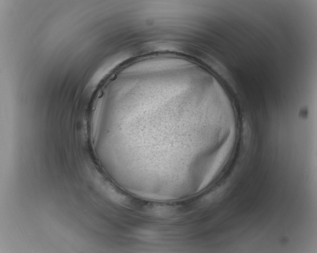 X0000110940782200907022132