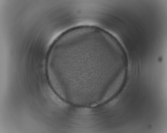 X0000110940783200907022132