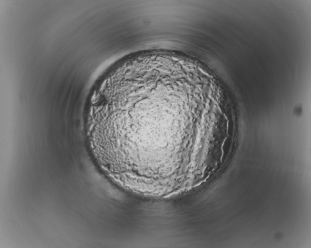 X0000110940784200907022132