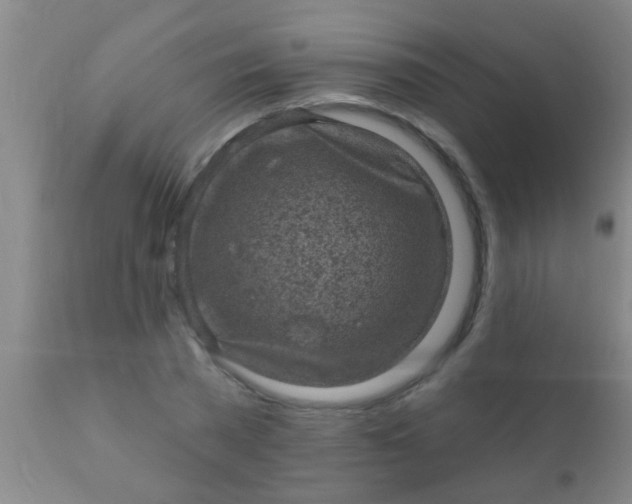 X0000110940785200907022132