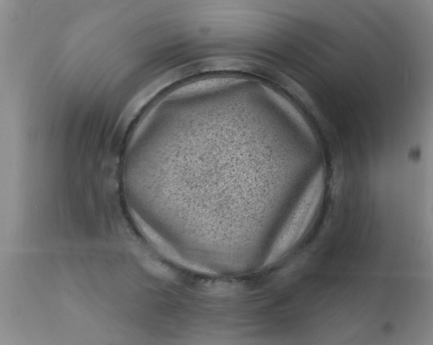 X0000110940786200907022132