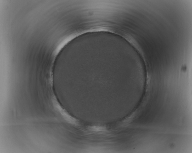 X0000110940789200907022132