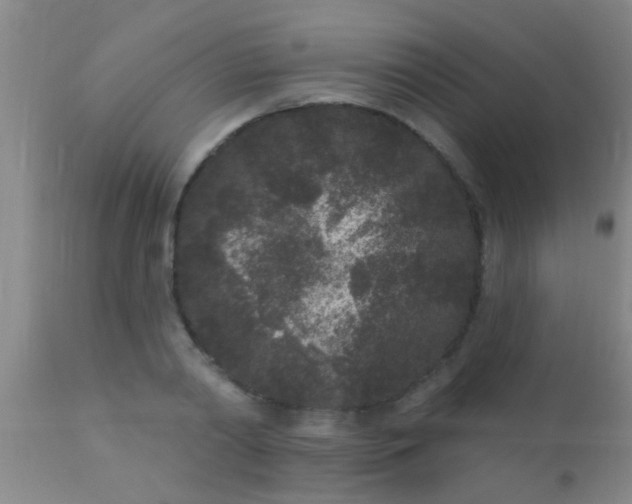 X0000110940790200907022132